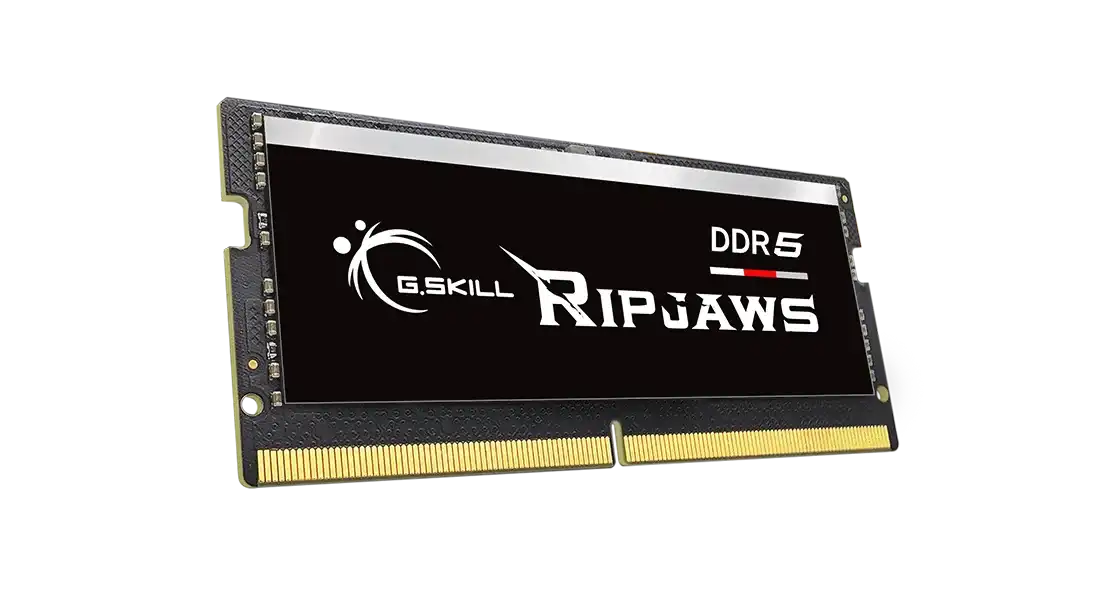 G.Skill Ripjaws 16GB DDR5 5600MHz CL46-45-45 1.25V Intel XMP 3.0 RAM